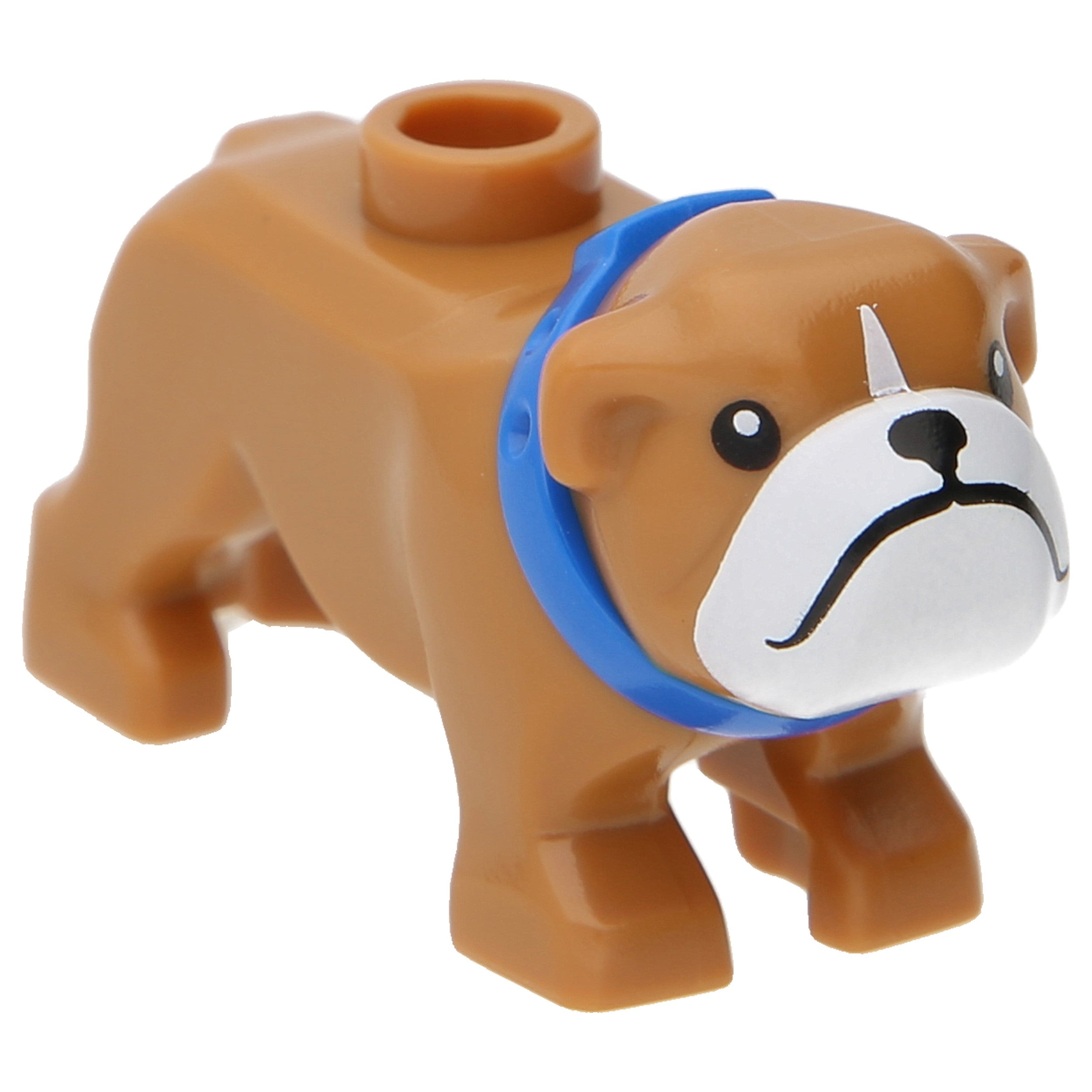LEGO Dogs - Bulldog with a white snout and blue collar (nougat)
